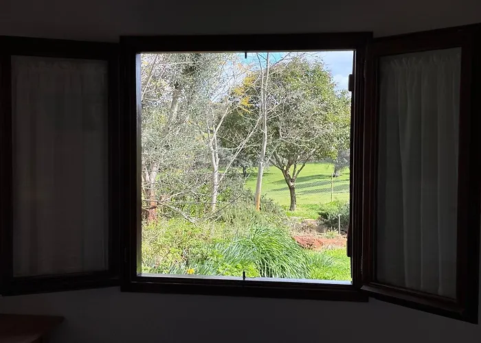 La Cerca Del Alcornoque