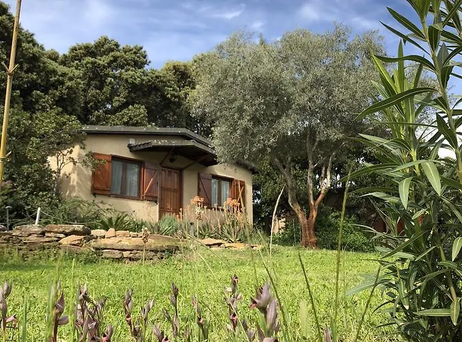 La Cerca Del Alcornoque
