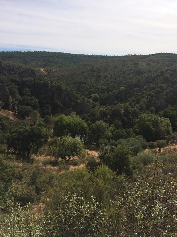 La Cerca Del Alcornoque * Casas de Belvis