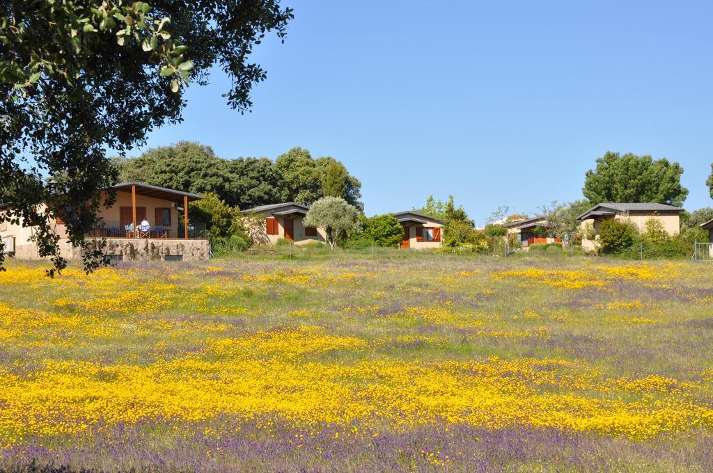 La Cerca Del Alcornoque Landhuis Casas de Belvis