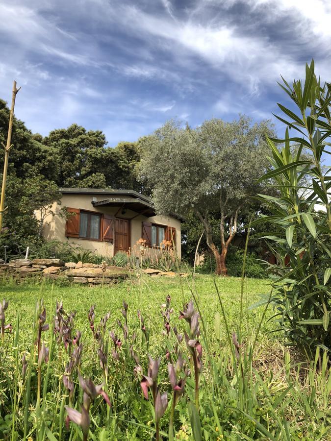 Landhuis La Cerca Del Alcornoque
